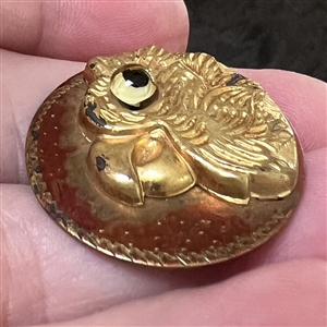 Parrot head button with glass eye.