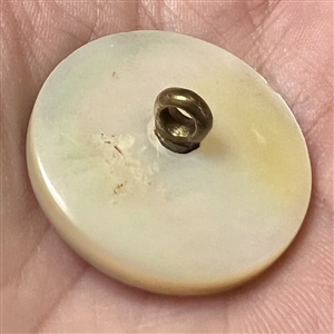 A 19th c. Pearl sporting button of a hunter with gun and dog. 