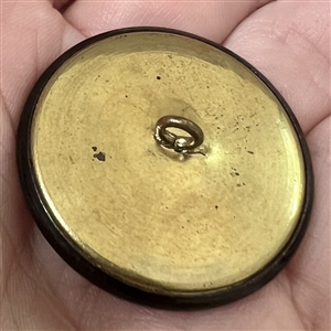 Ivoroid button of an Asian man playing a zither. 